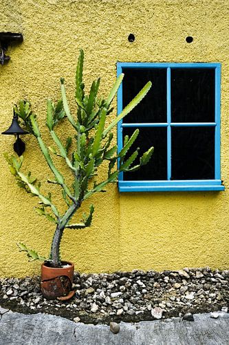 Een combinatie van natuur, levendige kleuren en rustieke authenticiteit