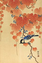 Koolmees op paulownia tak, Ohara Koson