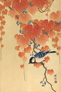 Koolmees op paulownia tak, Ohara Koson