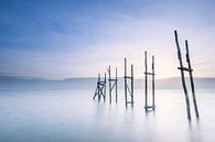 Landing stage on the beach of Texel by Ton Drijfhamer thumbnail