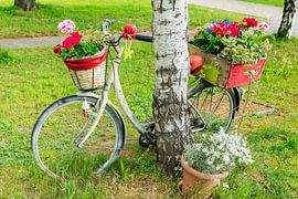 A bicycle decorated with flowers leans against a tree.