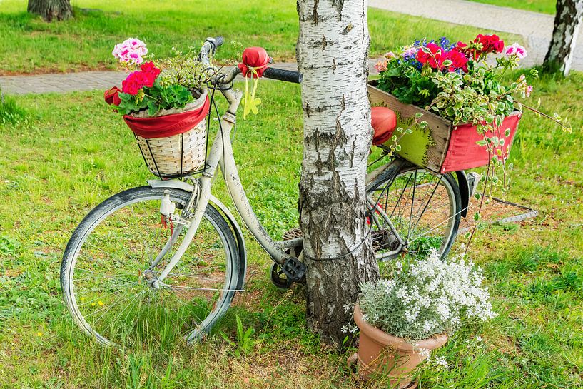 Une bicyclette décorée de fleurs s'appuie contre un arbre. par Gunter Kirsch