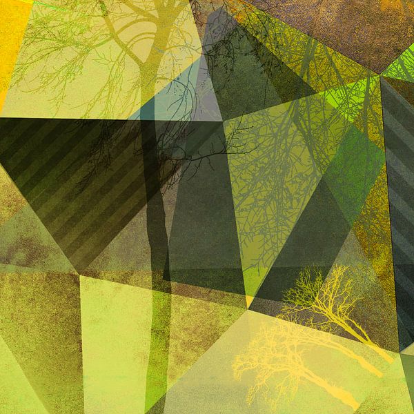 P24-C Trees and Triangles von Pia Schneider