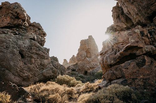 Zon schijnt door rotsen in El Teide nationaal park in Tenerife