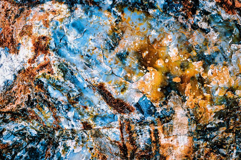 Kleurrijke verstening van hout abstract van Dieter Walther