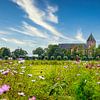 Panorama met kerk Zeerijp, Groningen met wilde bloemen in de voorgrond van Rietje Bulthuis