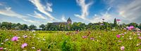 Panorama met kerk Zeerijp, Groningen met wilde bloemen in de voorgrond van Rietje Bulthuis thumbnail
