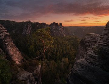 Saxon Switzerland by Patrick Noack