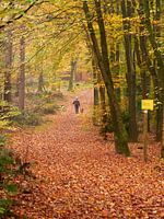 Herbstspaziergang