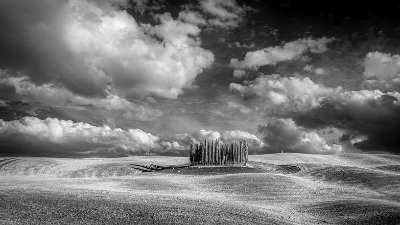 Cypresses Val d'Orcia -4- Tuscany - infrared black and white by Teun Ruijters