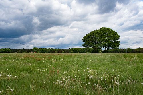 Wolken landschap bij Doesburger molen , Lunteren op de Veluwe