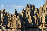 Scherpe rotsen Tsingy de Bemaraha von Dennis van de Water Miniaturansicht
