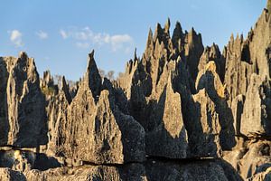 Scherpe rotsen Tsingy de Bemaraha van Dennis van de Water