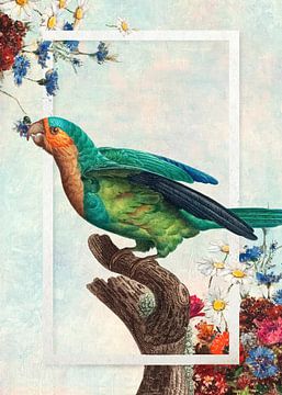 Parrot van Gisela - Art for you