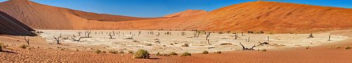 Le Deadvlei en Namibie