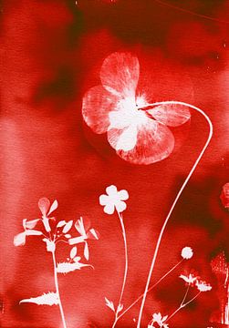 Rode bloemenweide met klaproos van Lies Praet