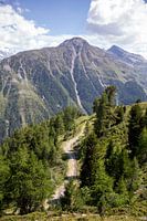 Alpine path at Grimentz