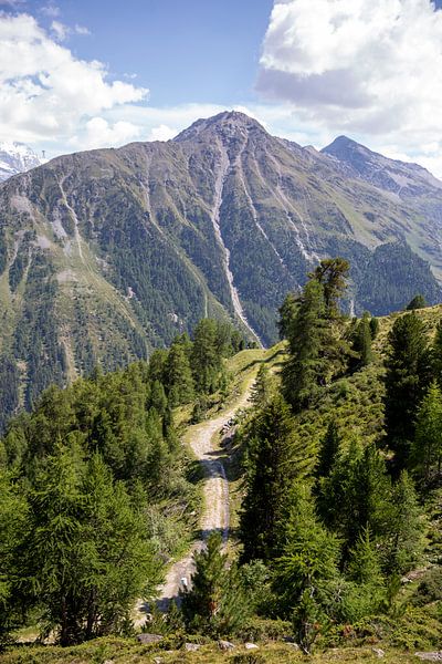 Alpenweg bei Grimentz von Sander de Jong