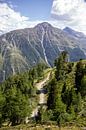 Alpenweg bei Grimentz von Sander de Jong Miniaturansicht