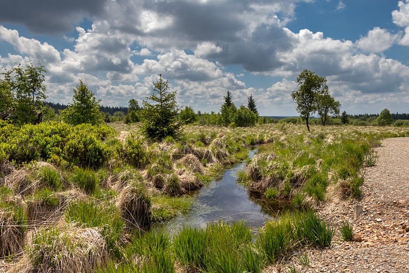 Landscape at Baraque Michel (Belgium) by Maurice Meerten
