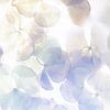 Hortensie Pastellfarbe | Flieder und Lila | Blumen von Nanda Bussers