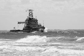 Coast Guard by MSP Canvas