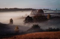 Foggy Posbank (Herikhuizerveld)