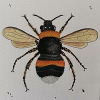Buzz
