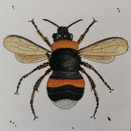 Buzz sur Desi Barents