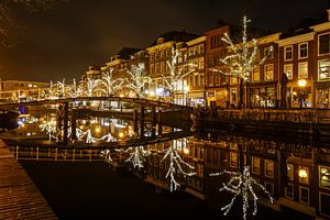 Nieuwe Rijn Leiden van Dirk van Egmond