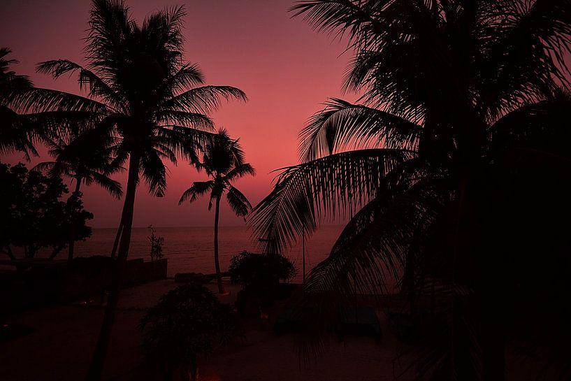Hawaii by Hello Pompoyo