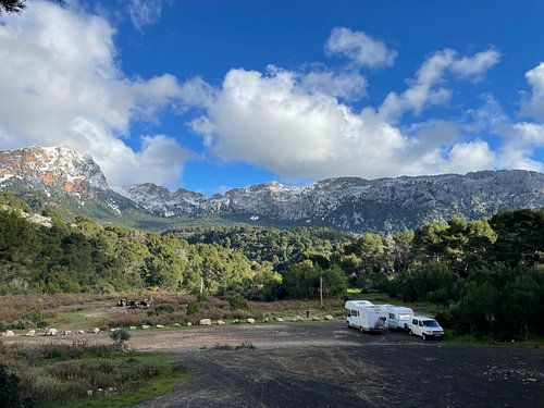 Schnee Mallorca 2021 - 27 von Sven Gonzales Poster Shop