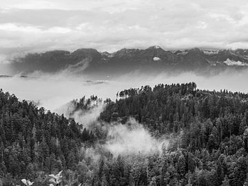 Tatra-Gebirge von Tomášovský výhľad aus von Sander Voost