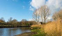 Bunte Landschaft mit Bunker von Ruud Morijn Miniaturansicht