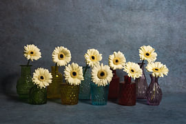 Modern Stilleven Symfonie van Licht, Wit en Glas van John van de Gazelle fotografie