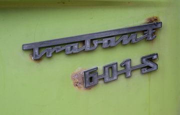 Trabant 601s van Richard Wareham
