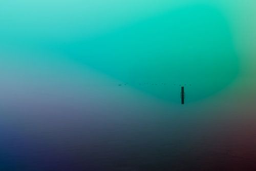 Ultieme leegte door mist over de Rijkerswoerdse Plassen