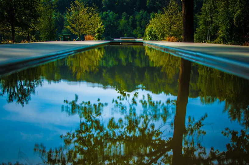 Tree and water by Norbert Sülzner