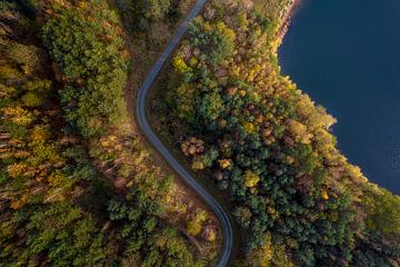 Bosweg langs het meer | Luchtfoto van Visuals by Justin