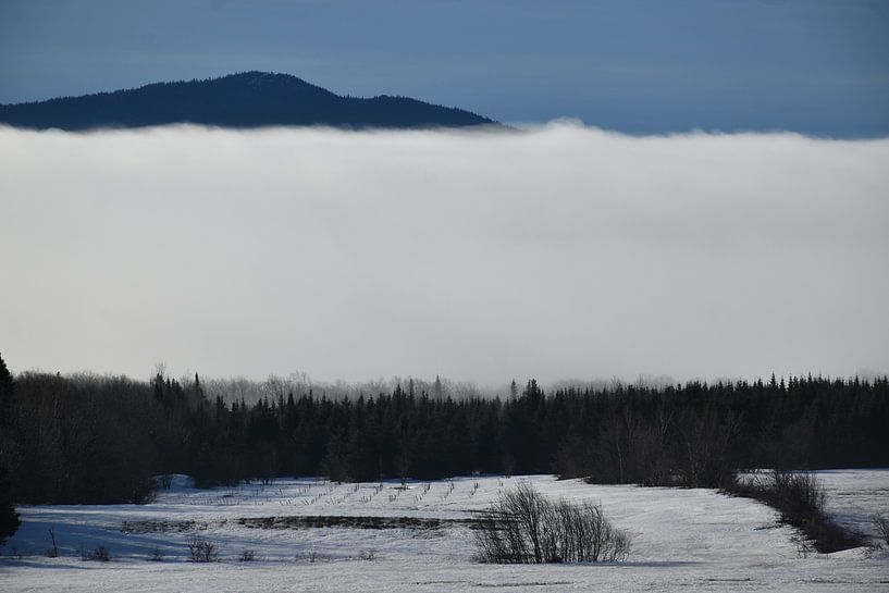 A mist on a spring morning by Claude Laprise