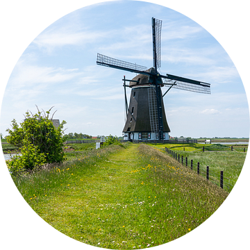De molen het noorden is een molen in Texel