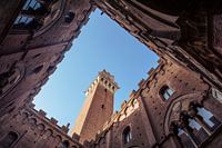 Look up in Sienna