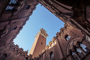 Nach oben schauen in Siena von Thom Sabel