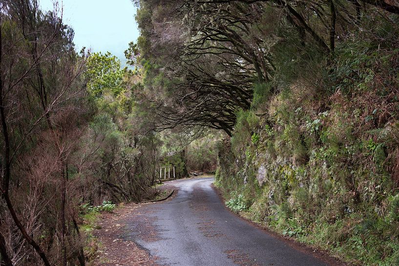 levada wandeling naar de 25 watervallen op madeira van ChrisWillemsen