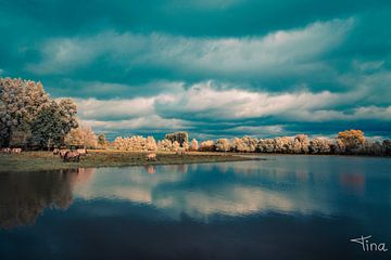 Réflexion dans l'eau sur Tina Linssen