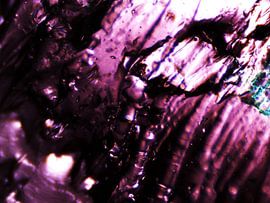 Haribo-Bären unter dem Mikroskop von Wijco van Zoelen