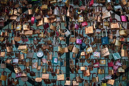 Liebesschleusen an der Pont des Arts in Paris