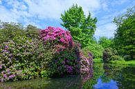 Park-idylle met rododendron van Gisela Scheffbuch thumbnail