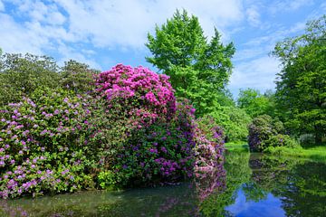 Park-idylle met rododendron van Gisela Scheffbuch