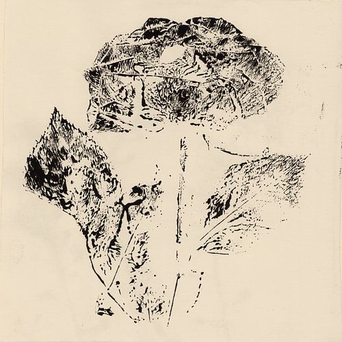 Vintage botanische prints. Roos.